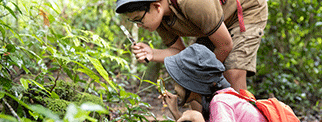Youg people looking at insects